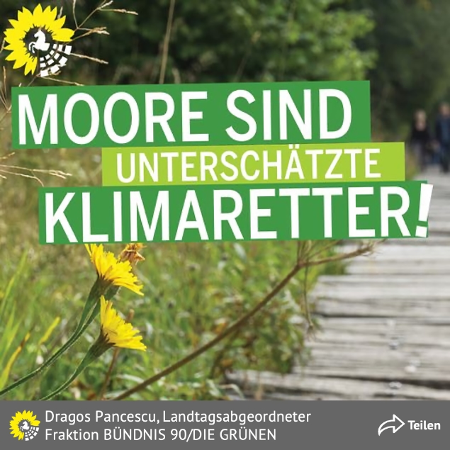 Moore sind unterschätzte Klimaretter